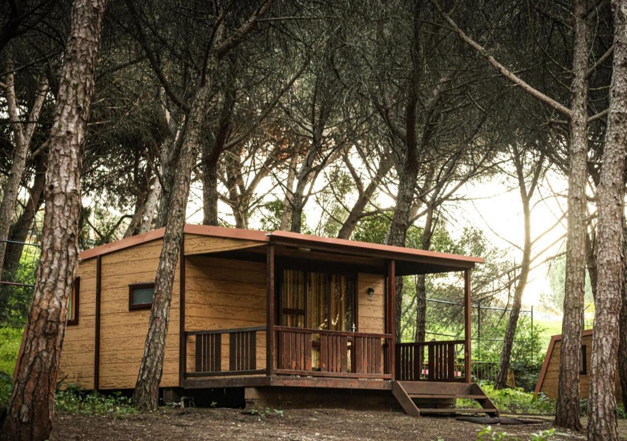 One-Bedroom Bungalow,1349731864:JPEG